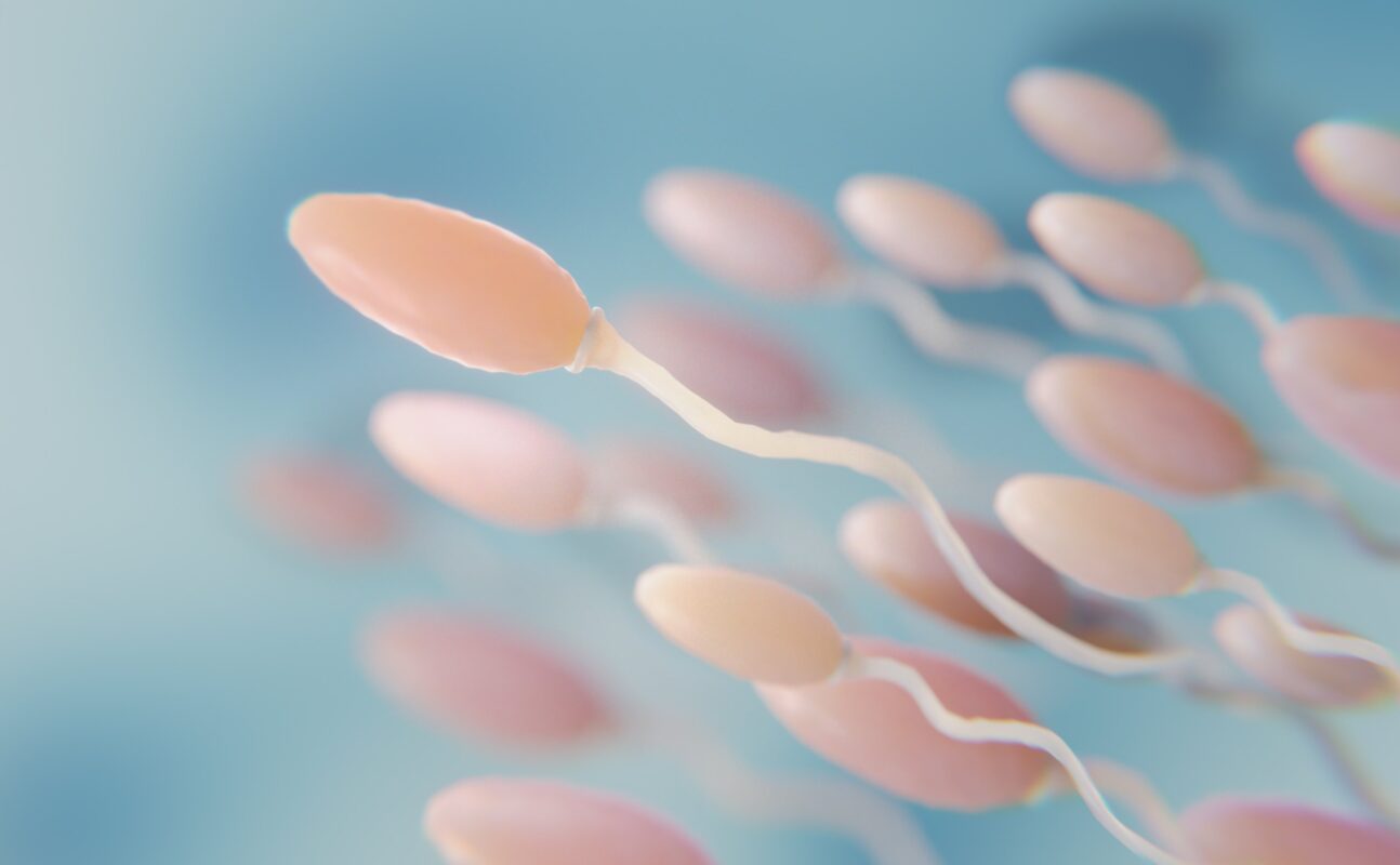 sperm