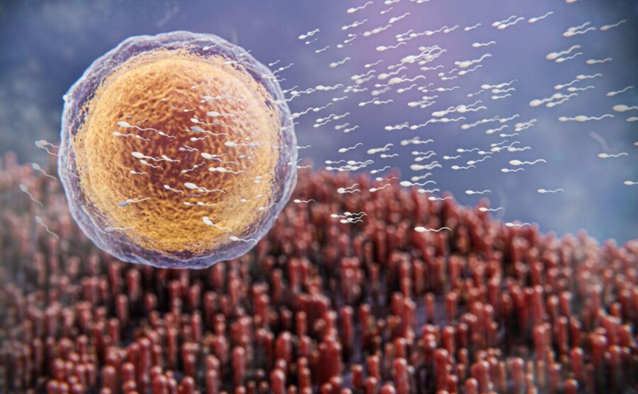 تشخیص اصل بودن قرص سمنکس
